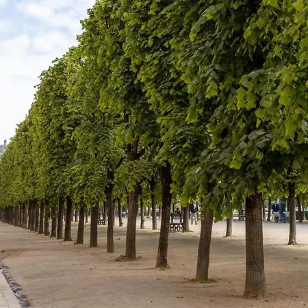 Veeve - Tracing The Tuileries דירה